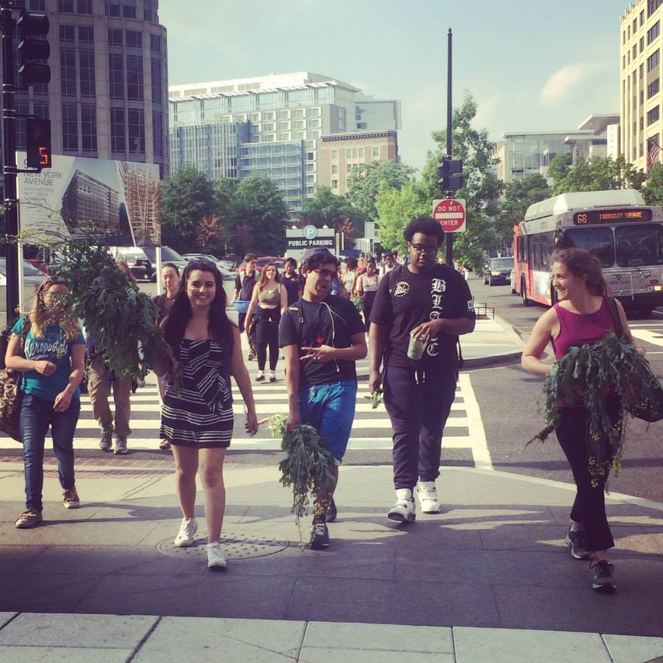 Walking through the city after a fresh harvest in the garden