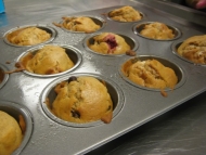 Delicious Muffins from Scratch