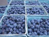 Blueberries at the Farmer's market